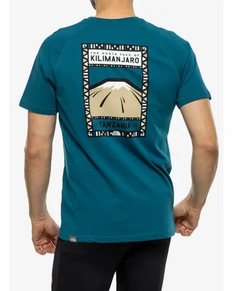 The North Face Tee Erkek Tişört - NF00CEQ8IVY1