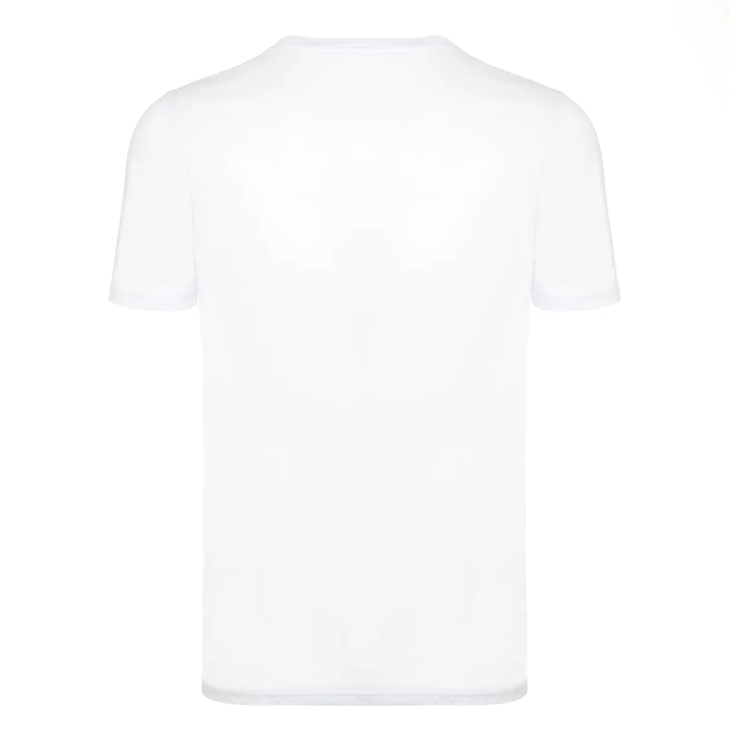 Diadora Ss T.shirt Iconic LYF Beyaz Erkek Tişört - 502.175835-20002