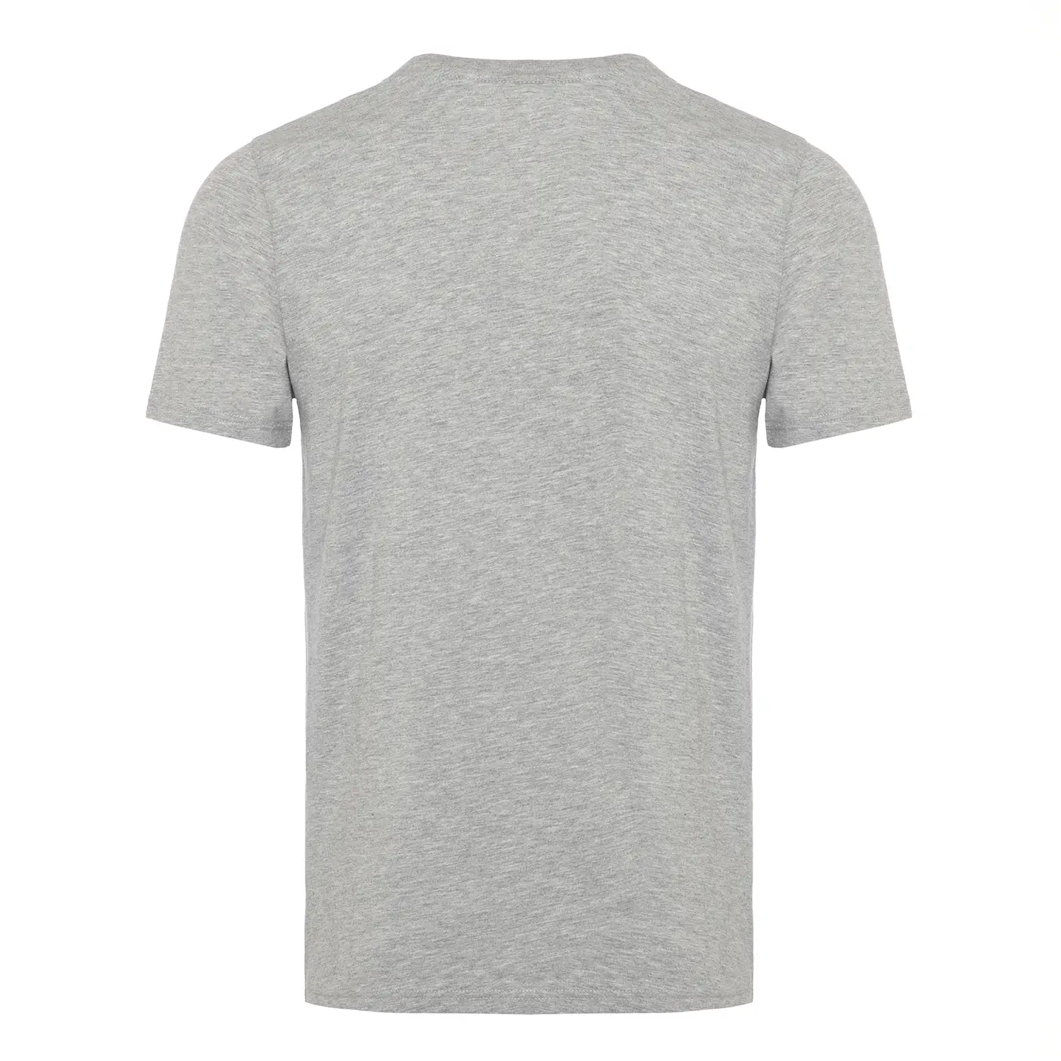 Diadora Ss T-shirt Iconic Açık Gri Erkek Tişört - 502.176633-C5493
