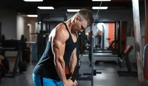 Arka Kol ve Triceps Hareketleri 